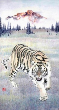 tigre 1 Pinturas al óleo